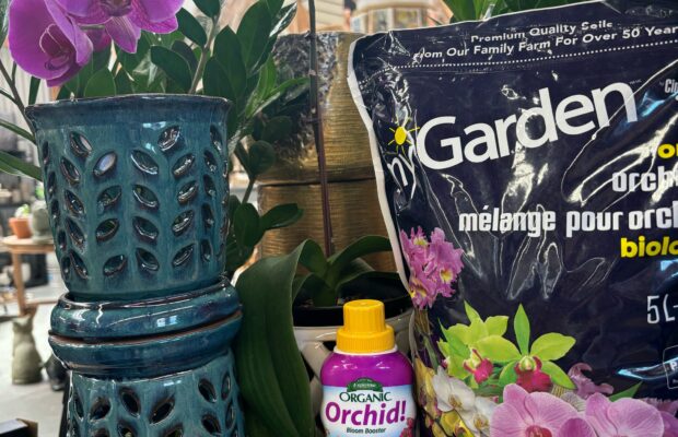 GREEN THUMB THURSDAY: Bringing the Indoors…Outdoors!
