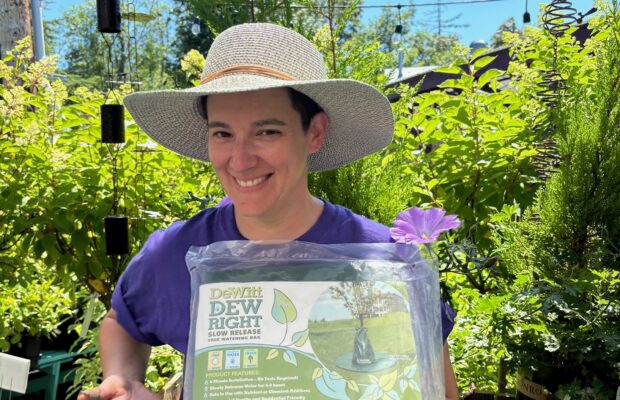 GREEN THUMB THURSDAY: Keeping Plants Hydrated