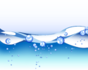 Whatcom Water Week