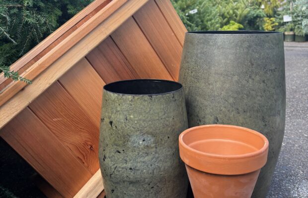 GREEN THUMB THURSDAY: Use the Proper Planter!