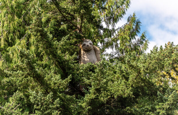 Have you seen the I5 Sloth? Have you seen the I5 Sloth?