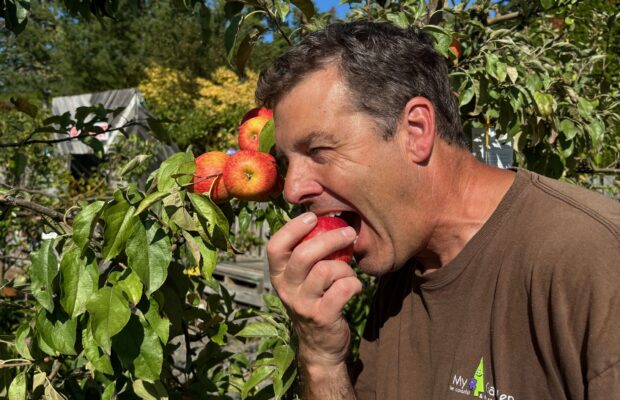 GREEN THUMB THURSDAY: Now’s the Time for Fruit Trees!