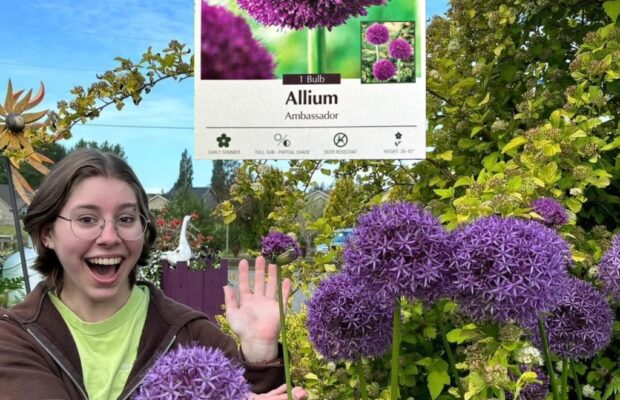 GREEN THUMB THURSDAY: It’s Time to Plant BIG!