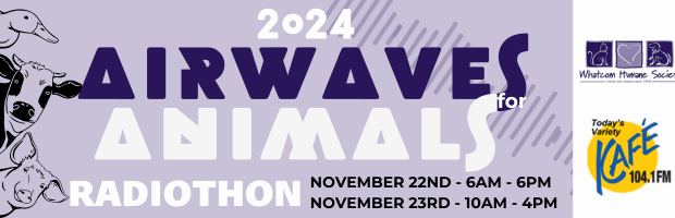 Airwaves for Animals is happening NOW!