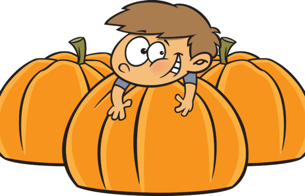 Pumpkin Patch in the Pool