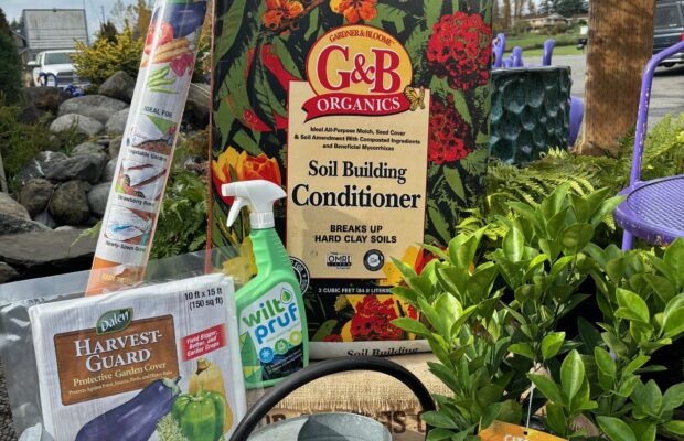 GREEN THUMB THURSDAY: 4 Quick Tips to Protect Your Plants