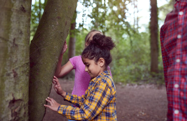 Wild Whatcom: Wild Things