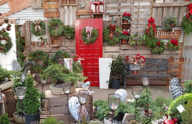 GREEN THUMB THURSDAY: Holiday Decorating