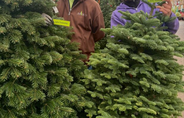GREEN THUMB THURSDAY: It’s Christmas Tree Time w/”Spruce Willis”
