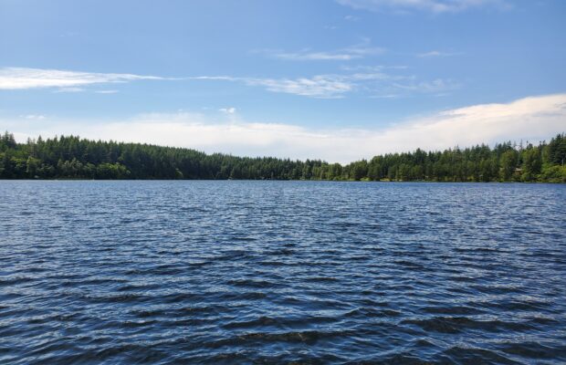 Wild Things Wild Things