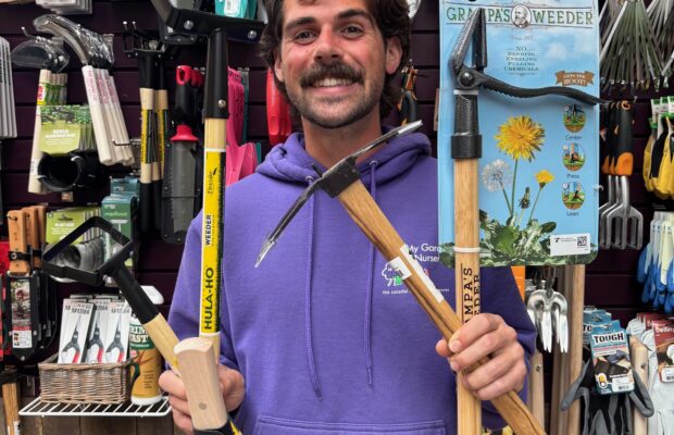 GREEN THUMB THURSDAY: Gardening Tools to Make Things Easier!