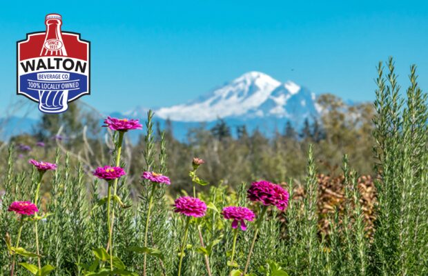 Beat the Heat with Walton Beverage