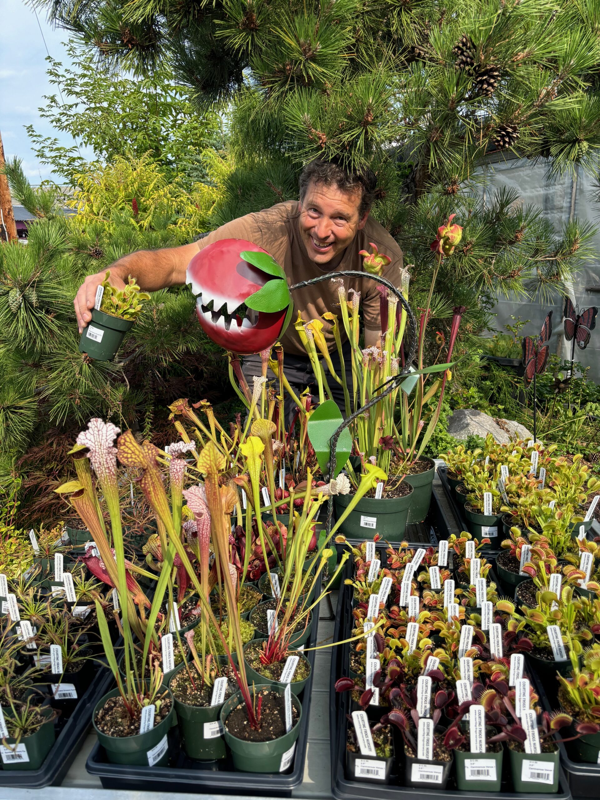 GREEN THUMB THURSDAY: The World of Carnivorous Plants | KAFE 104.1