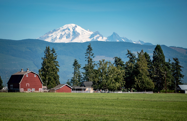 Whatcom Farm Tour