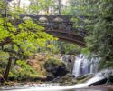Wild Whatcom: Wild Things