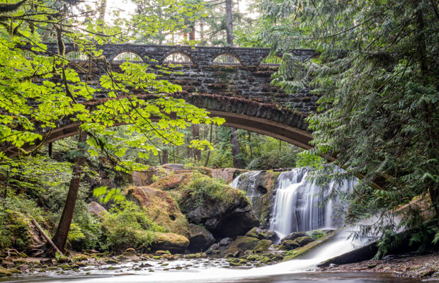 Wild Whatcom: Wild Things