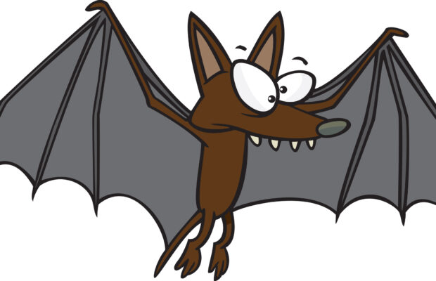 FIG Studio: Winging It