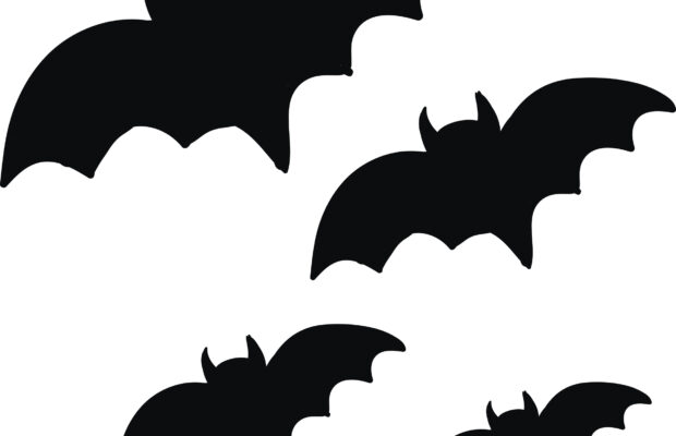 Deming All About Bats