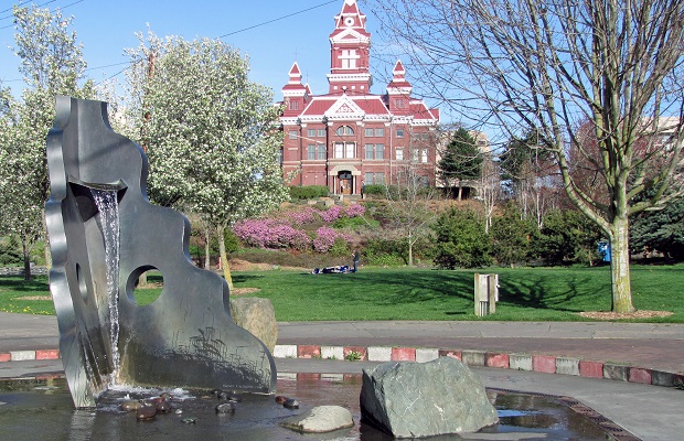 Wild Whatcom: Wild Things Wild Whatcom: Wild Things