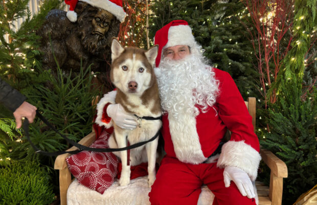 GREEN THUMB THURSDAY: Pet Pics with Santa GREEN THUMB THURSDAY: Pet Pics with Santa