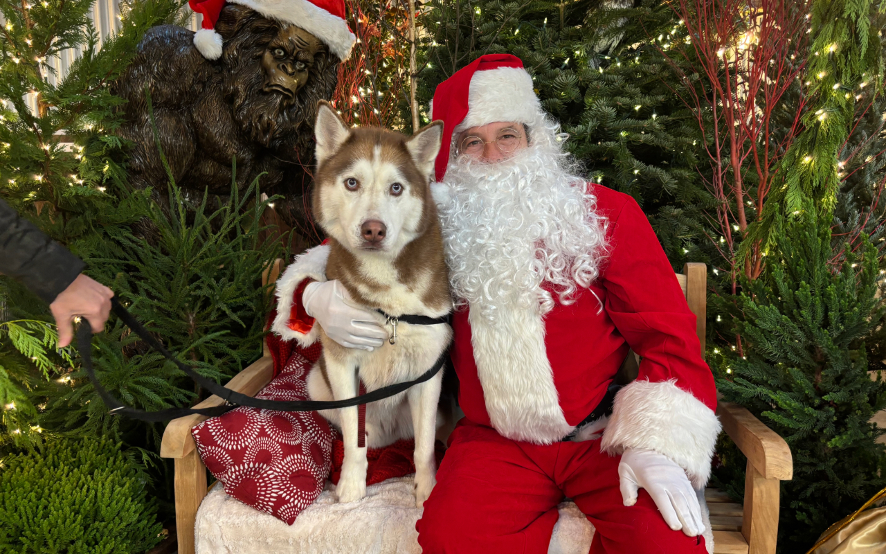 Santa Blog GREEN THUMB THURSDAY: Pet Pics with Santa | KAFE 104.1