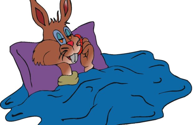 FIG Studio: Dozy Cozy Bunny