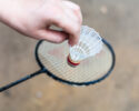 Badminton Open Play
