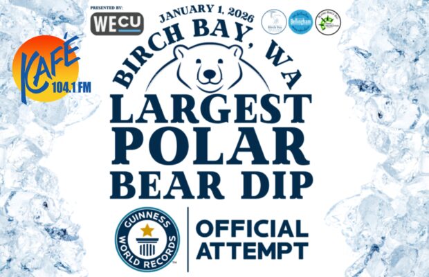 Birch Bay Polar Bear Dip Birch Bay Polar Bear Dip