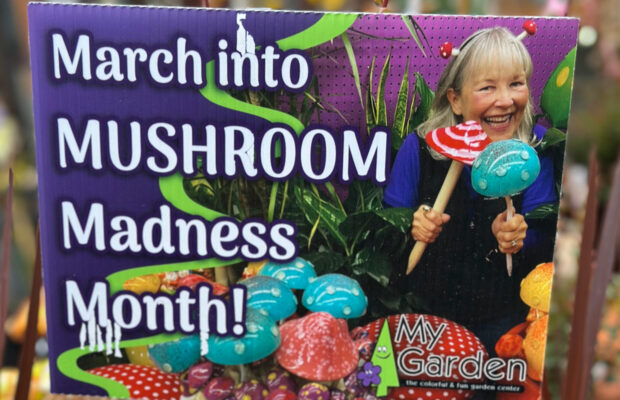GREEN THUMB THURSDAY:  It’s Mushroom Madness!!!