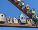 Whatcom Humane Society Birdhouse Auction
