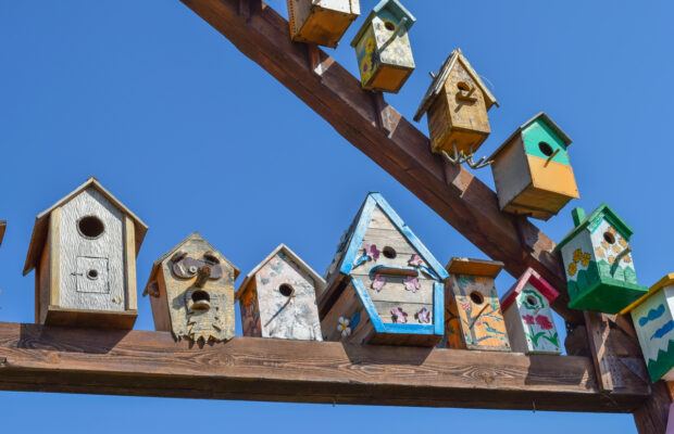 Whatcom Humane Society Birdhouse Auction