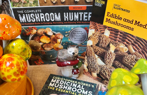 GREEN THUMB THURSDAY: Keep Those Deer Away!