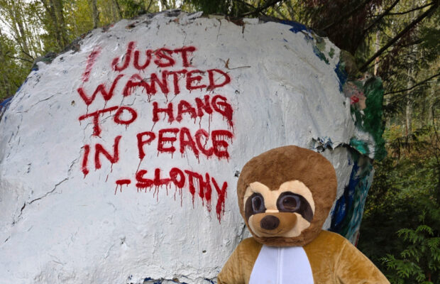 ICYMI: Bellingham Rock UPDATE