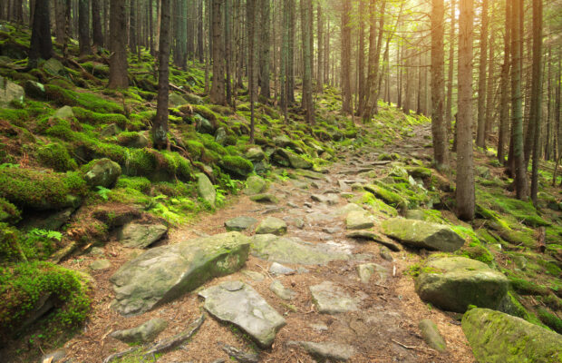 Celebrate Trails Day – Salish Coast Trail