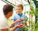 All About Gardening - South Whatcom