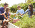 All About Gardening - Deming