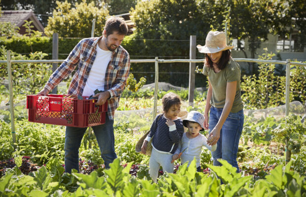 All About Gardening – Lynden All About Gardening – Lynden