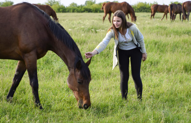 Barnyard Breaks with Animals as Natural Therapy Barnyard Breaks with Animals as Natural Therapy