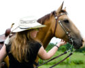 Barnyard Breaks with Animals as Natural Therapy