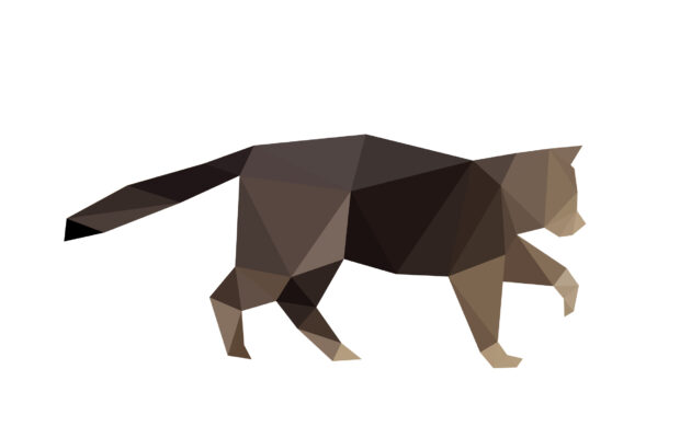 FIG Studio: Pretty Playful Paws