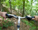 Weekly Mountain Bike Ride
