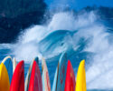 FIG Studio: Surf's Up
