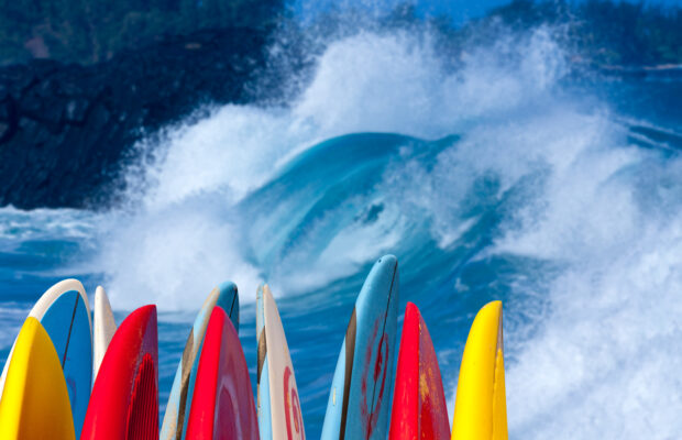 FIG Studio: Surf’s Up