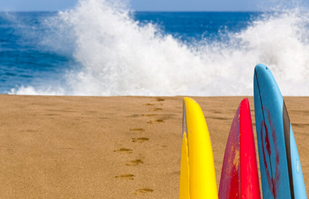 FIG Studio: Surf’s Up